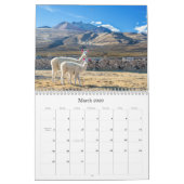 Bolivien-Kalender 2015 Kalender (Mär 2026)