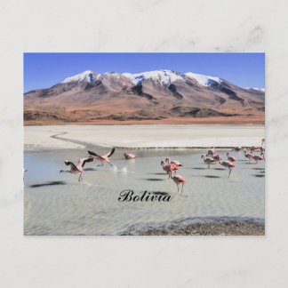 Bolivien Landschaftsfoto mit Flamingos Postkarte