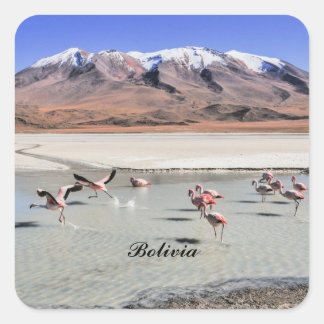 Bolivien Landschaftsfoto mit Flamingos Quadratischer Aufkleber
