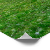 Bolling Hall, Bradford Poster (Ecke)