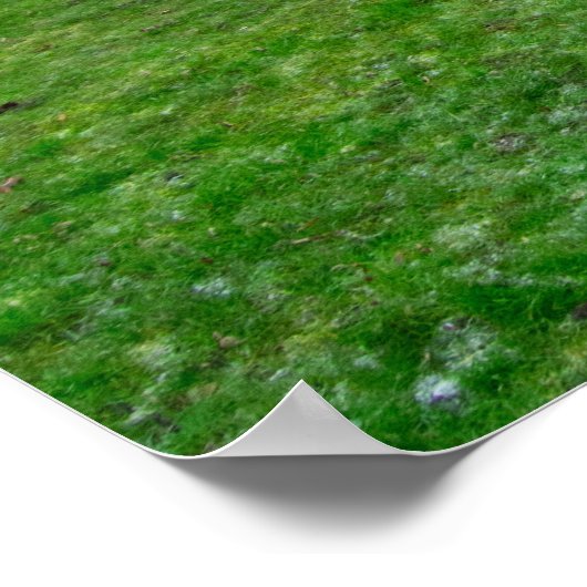 Bolling Hall, Bradford Poster (Ecke)