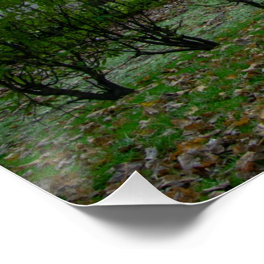 Bolling Hall, Bradford Poster (Ecke)