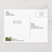 Bollinger Mill und Burfordville Covered Bridge Postkarte (Rückseite)