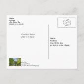 Bollinger Mill und Burfordville Covered Bridge Postkarte (Rückseite)