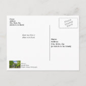 Bollinger Mill und Burfordville Covered Bridge Postkarte (Rückseite)