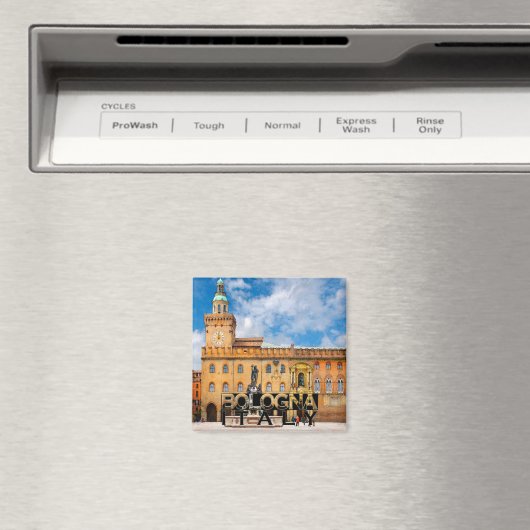 Bologna Magnet (In Situ (Geschirrspüler))