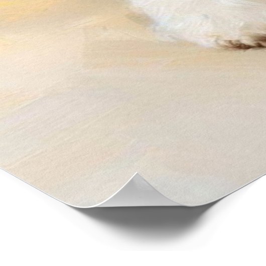 Bolognese Dog Poster (Ecke)