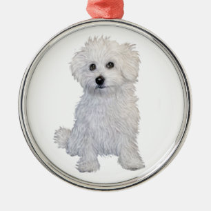 Bologneser Welpe Silbernes Ornament