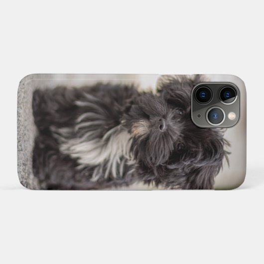 Bolonka Puppy Case-Mate iPhone Hülle (Rückseite (Horizontal))