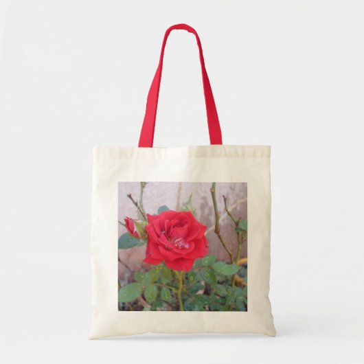 bolsa econômica  tragetasche (Vorne)