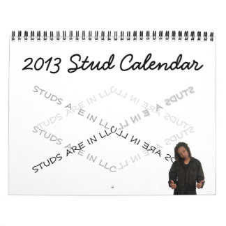 Bolzen-Kalender 2013 Kalender