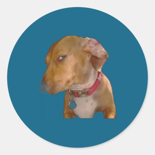 Bombastic Side Eye Funny Dog  Runder Aufkleber (Vorderseite)