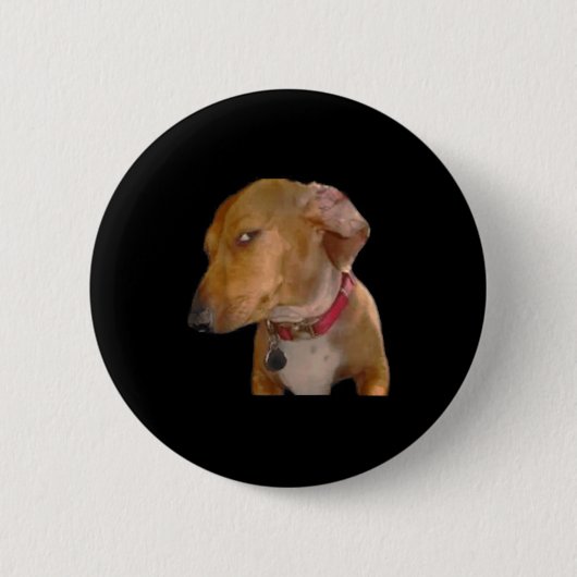 Bombastischer Seitenblick Lustiger Hund Button (Vorderseite)
