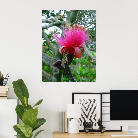 Bombax-Baumblüte Poster (Heimbüro)