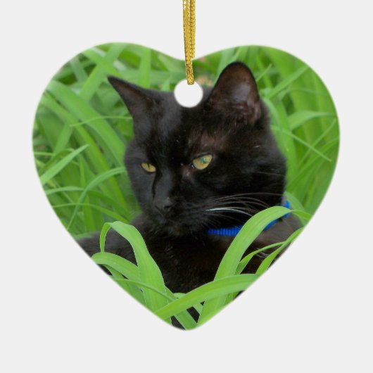 Bombay Black Cat Birthday Ornament (Vorne)