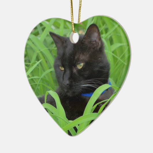 Bombay Black Cat Birthday Ornament (Links)