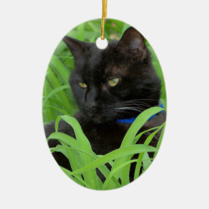 Bombay Black Cat Grußgeschenk Ornament