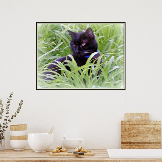 Bombay Black Cat Print Poster (Küche)