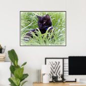 Bombay Black Cat Print Poster (Heimbüro)