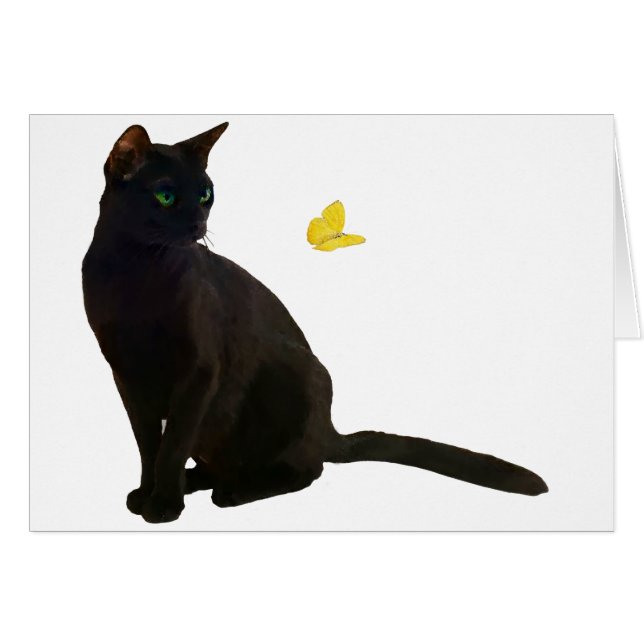 Bombay Cat & Butterfly (Vorderseite (Horizontal))
