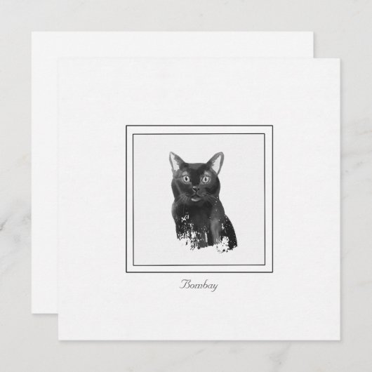 Bombay Cat Elegante Chalk Zeichnend flache Notenka Mitteilungskarte (Vorne/Hinten)
