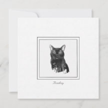 Bombay Cat Elegante Chalk Zeichnend flache Notenka