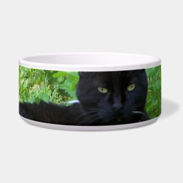 Bombay Cat Lying in Closed Food Bowl Napf