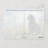 Bombay Postcross - Postkarte (Rückseite)