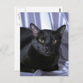 Bombay Postkarte (Vorne/Hinten)