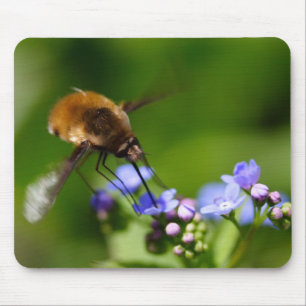 Bombylius major mousepad