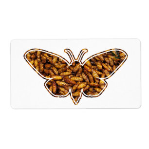 Bombyx Mori Silk Moth Life Cycle Silhouette