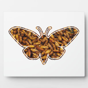 Bombyx Mori Silk Moth Life Cycle Silhouette Fotoplatte