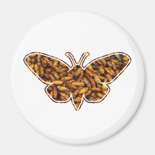 Bombyx Mori Silk Moth Life Cycle Silhouette Magnet