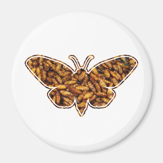 Bombyx Mori Silk Moth Life Cycle Silhouette Magnet (Vorne)