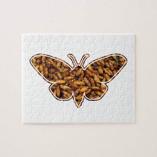 Bombyx Mori Silk Moth Life Cycle Silhouette Puzzle (Horizontal)