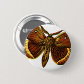 Bombyx quercus male button (Vorne & Hinten)