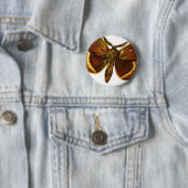 Bombyx quercus male button (Beispiel)
