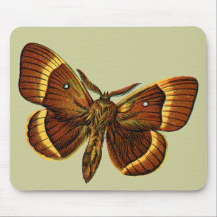 Bombyx quercus male mousepad