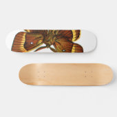 Bombyx quercus male skateboard (Horizontal)