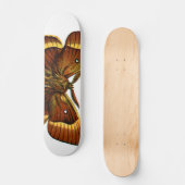 Bombyx quercus male skateboard (Vorderseite)