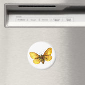 Bombyx quercus weiblich magnet (In Situ (Geschirrspüler))