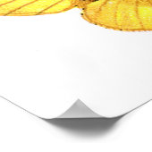 Bombyx quercus weiblich poster (Ecke)