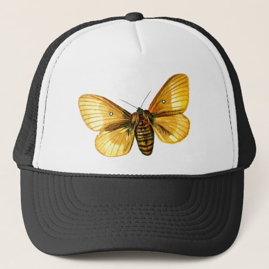 Bombyx quercus weiblich truckerkappe (Vorderseite)
