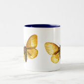 Bombyx quercus weiblich zweifarbige tasse (Mittel)