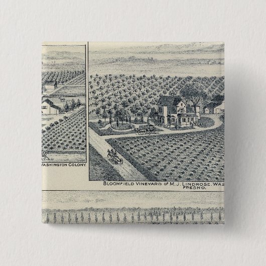 Bonacourt Ranch, Washington Colony, Kalifornien Button (Vorderseite)