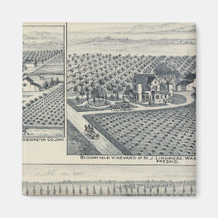 Bonacourt Ranch, Washington Colony, Kalifornien Magnet