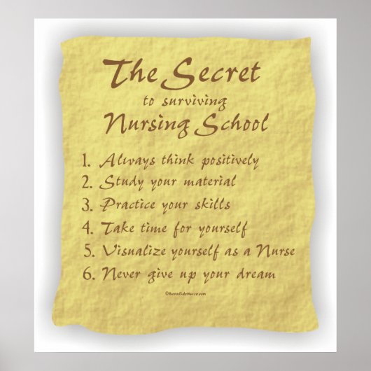 BonafideNurse_-_Secret_to_Surviving_Nursing_School Poster (Vorne)