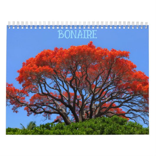 Bonaire bon bini kalender (Titelbild)