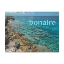 Bonaire breeze