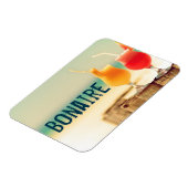 Bonaire-Cocktails Magnet (Linke Seite)